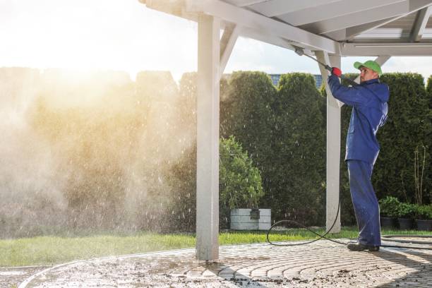 Best Sidewalk and Walkway Cleaning  in Blakely, PA